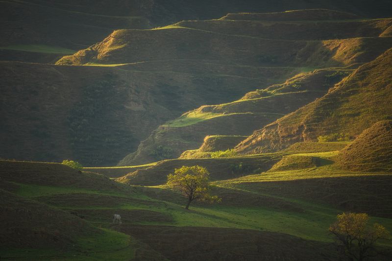 дагестан природа пейзаж утро свет россия landscape nature Террасы Дагестана.photo preview