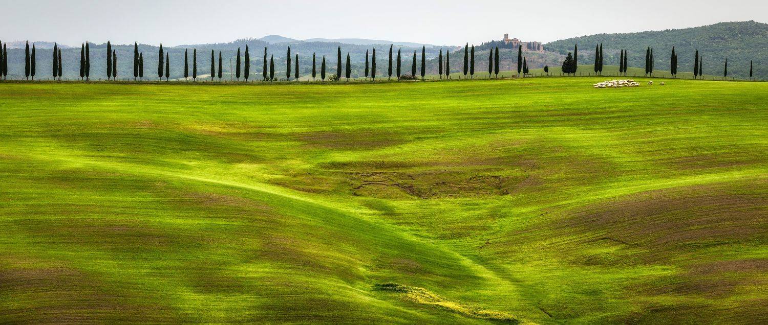---. Автор: Безмолитвенный Александр , Безмолитвенный Александр