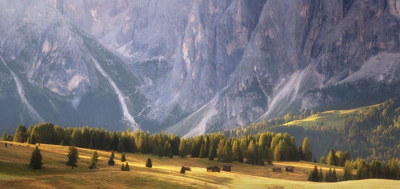 У подножья великанаphoto preview