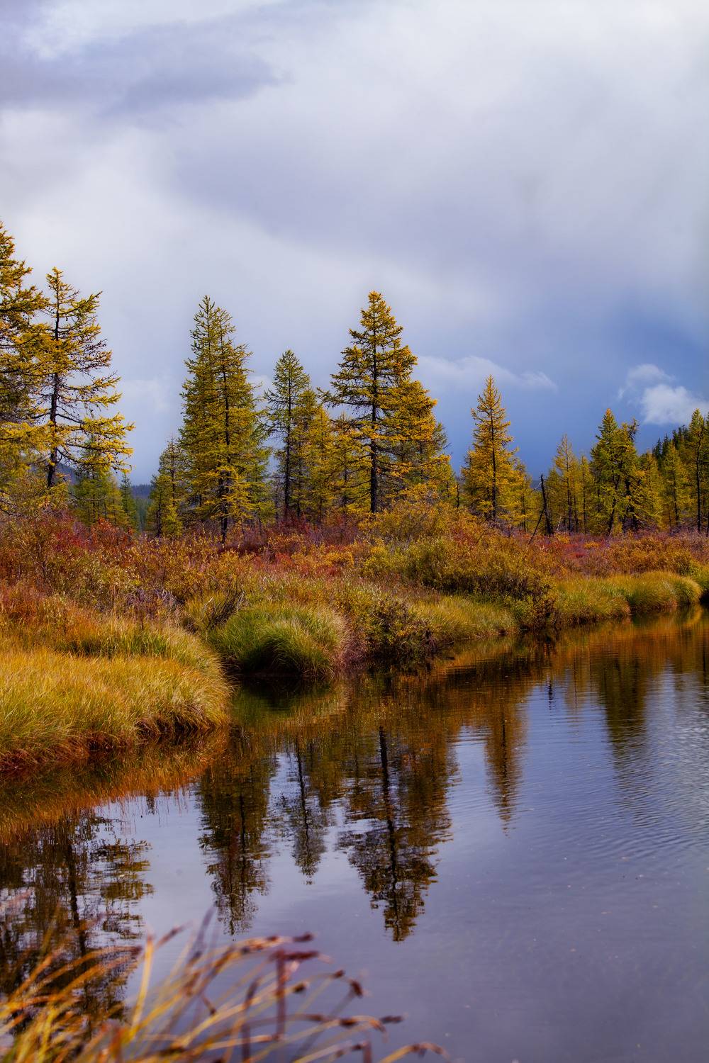 Осень на Окинском плато. Автор: Никифорова Ксения , Никифорова Ксения