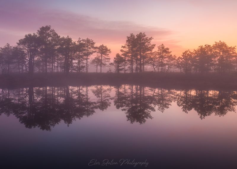 пейзаж, природа, ночь, эстония, болото, туман, отражение, elvis antson Отражение тишиныphoto preview