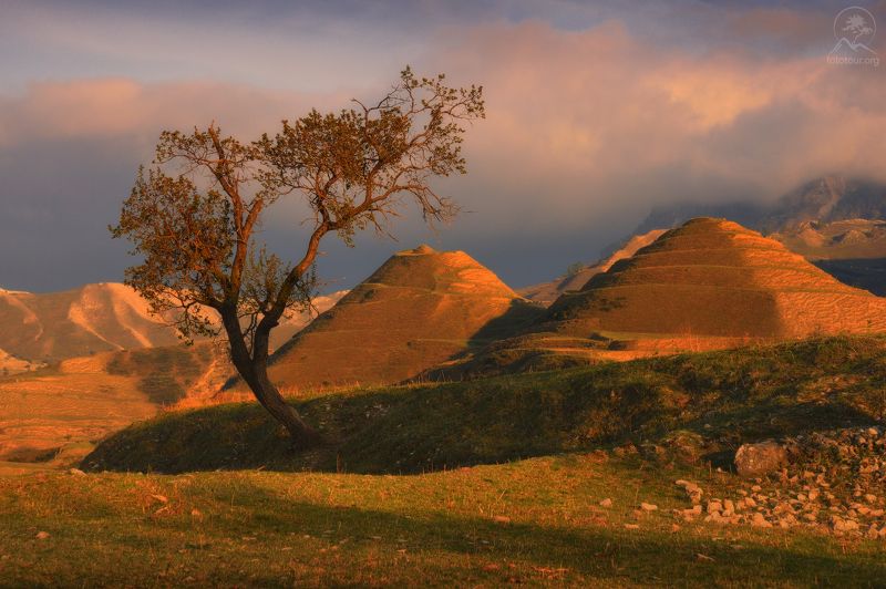 дагестан, горный дагестан, кавказ, фототур в дагестан,  деревья, горы, свет, террасы Солнечные пирамидыphoto preview