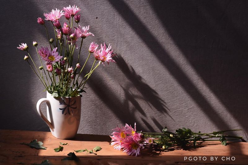 Tales of Heartphoto preview