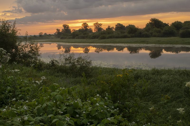 Рассвет, озеро, луг, цветы, отражение, лето, трава, зелень Рассвет у озераphoto preview