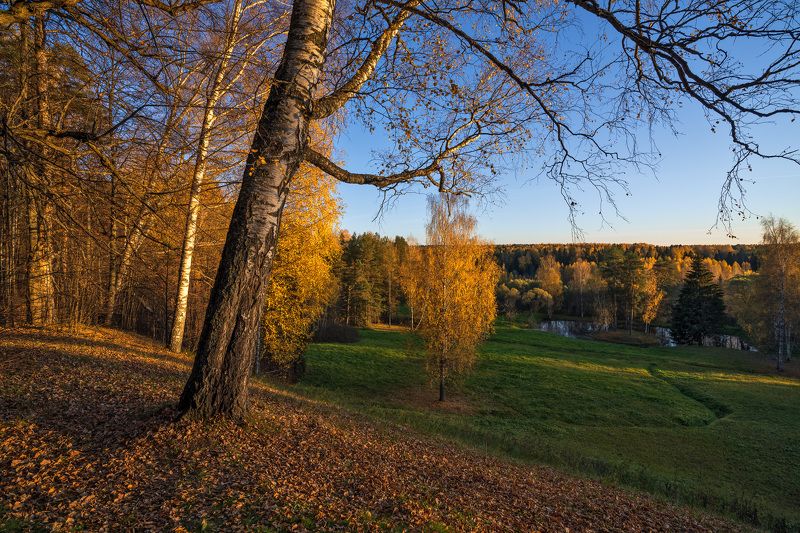 щелыково, костромская область Последние лучикиphoto preview