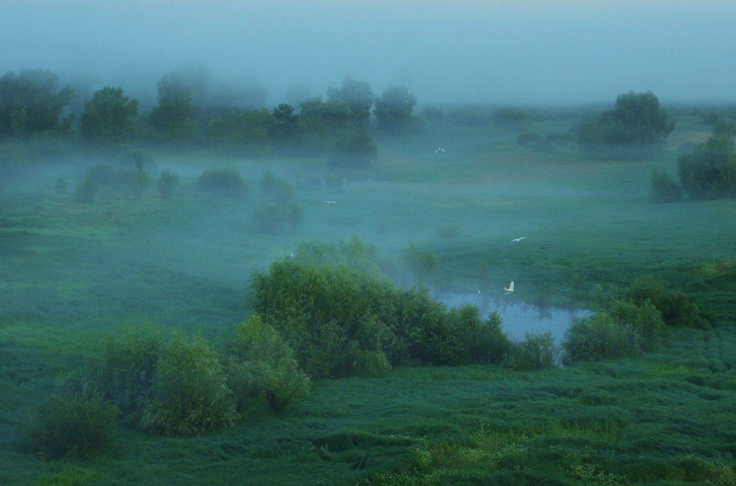 , Сергей Шляга