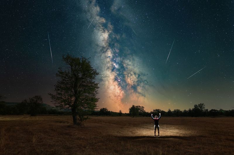 ceclii photo preview