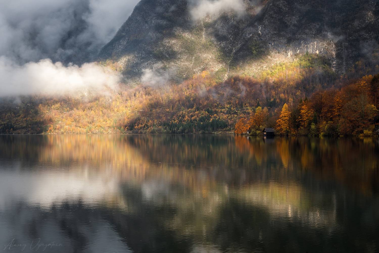 ***. Автор: Алексей Вымятнин slovenia, outdoor, autumn, fog, white, mountains, trees, travel, topview, Алексей Вымятнин