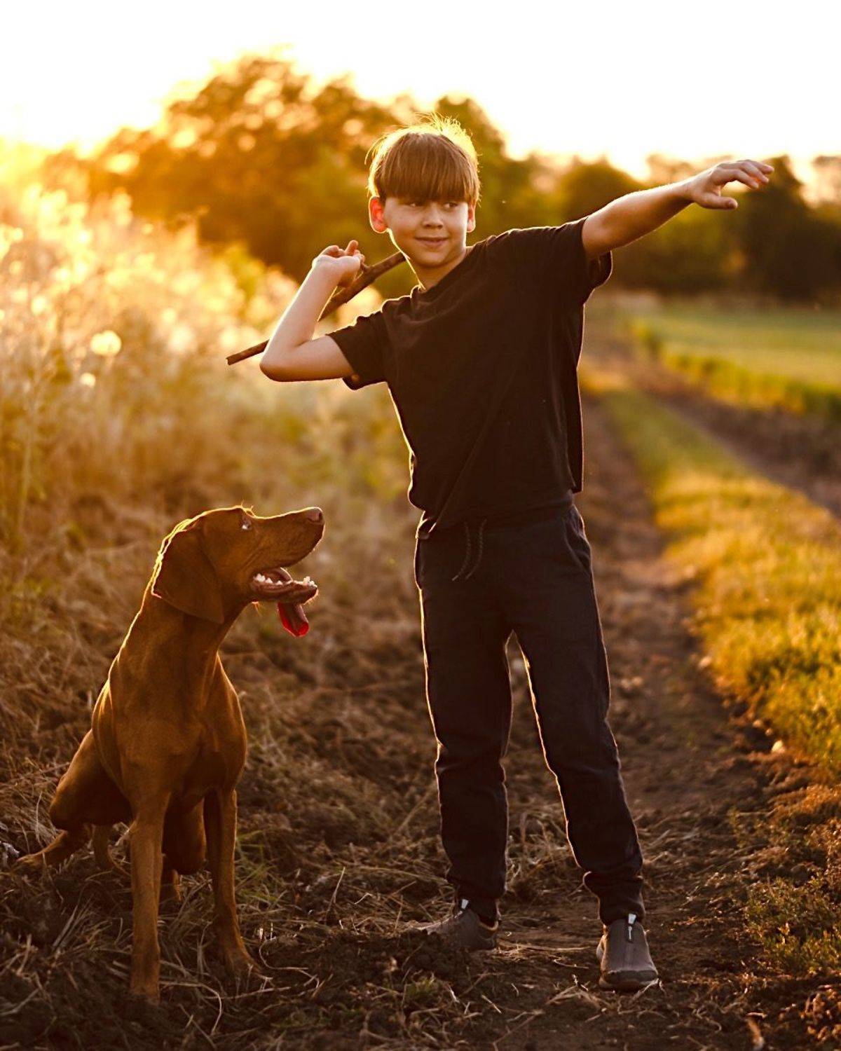 Автор: Евгения Брусенцова , Евгения Брусенцова