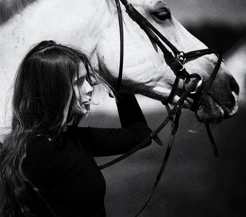 девушка и лошадь, белая лошадь София и Жоржphoto preview