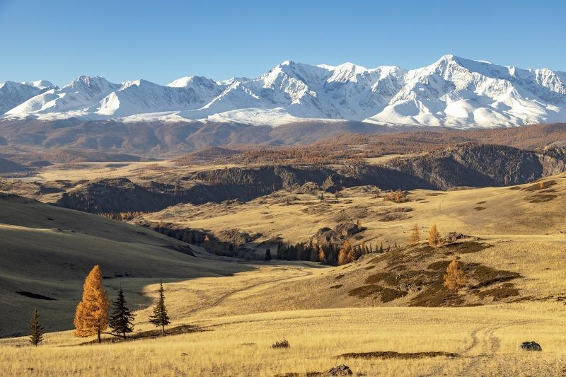 Курайская осень фото превью
