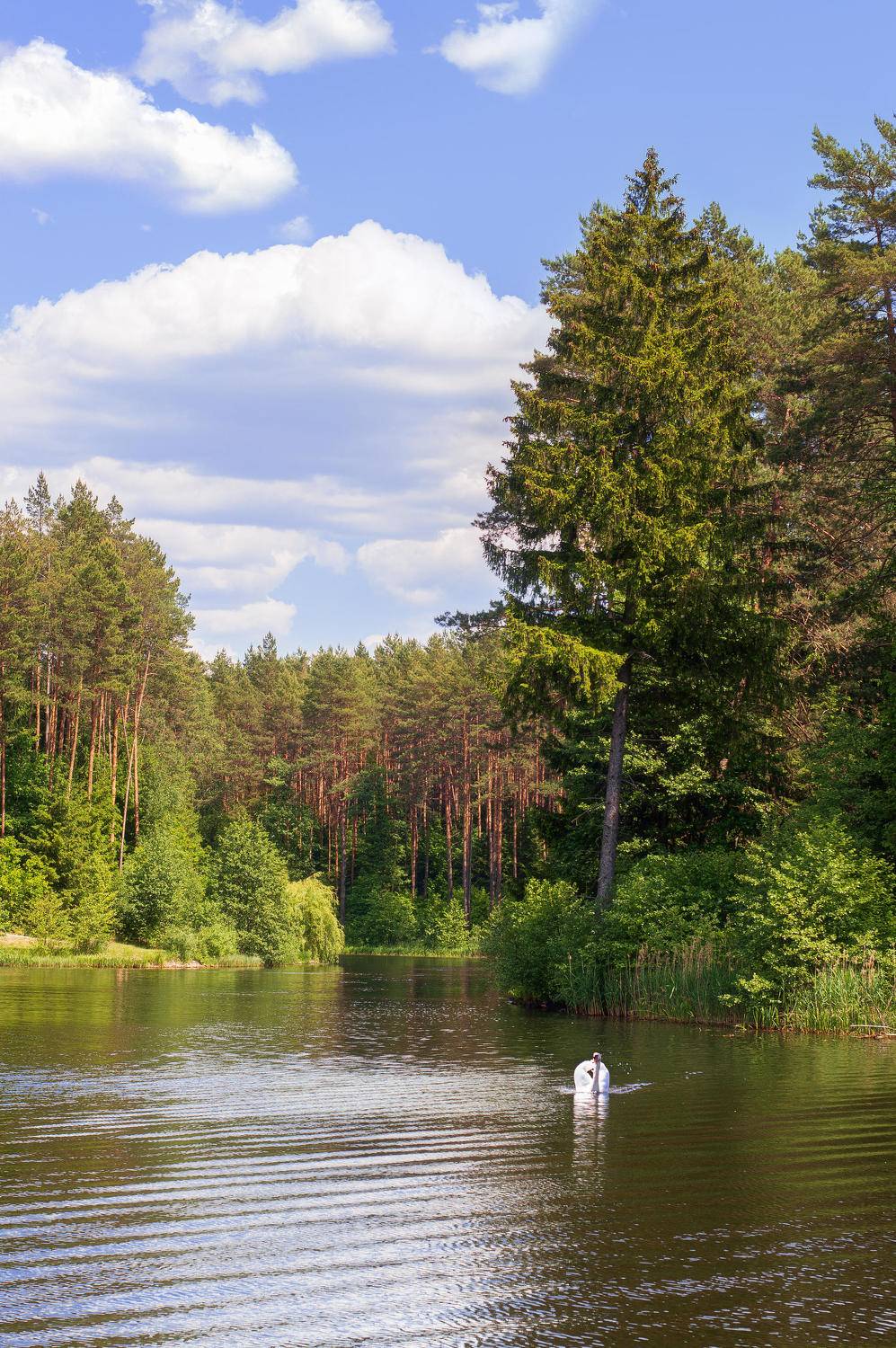 , Полина Хрол
