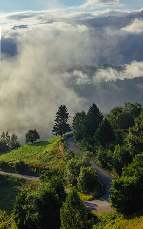 Morning fog . . .photo preview