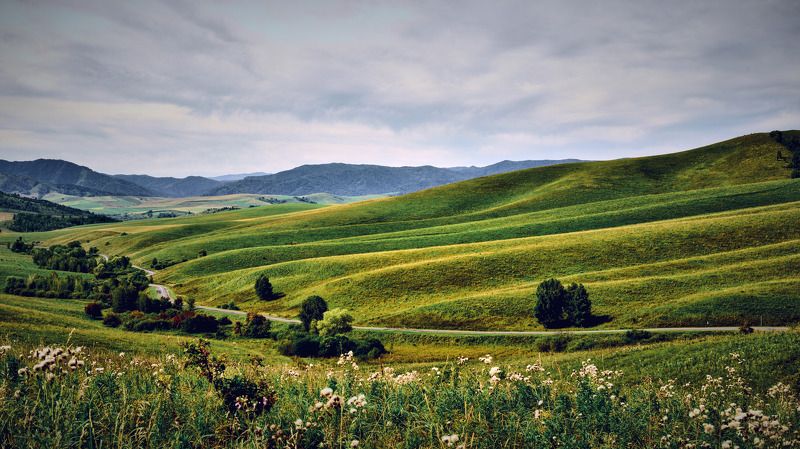 алтай, холмы, Стиральная доска Алтаяphoto preview