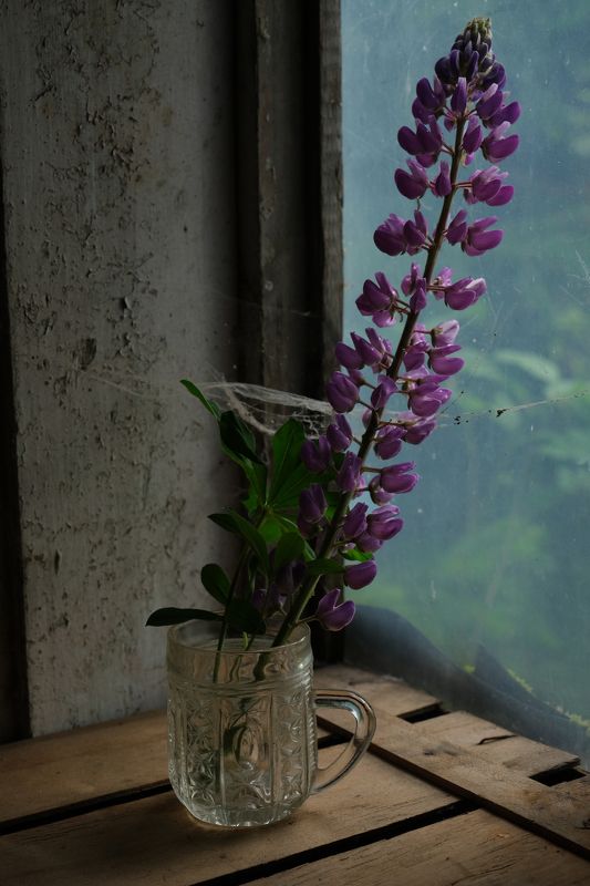 Забытыйphoto preview