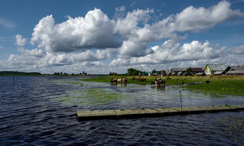 Пастораль фото превью