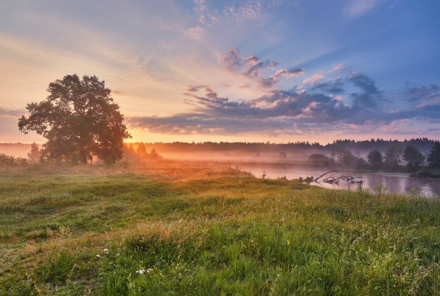 Утро после жаркого дня. Автор: Вейзе Максим август, беларусь, лето, луга, облака, рассвет, река, свислочь, туман, утро, Вейзе Максим