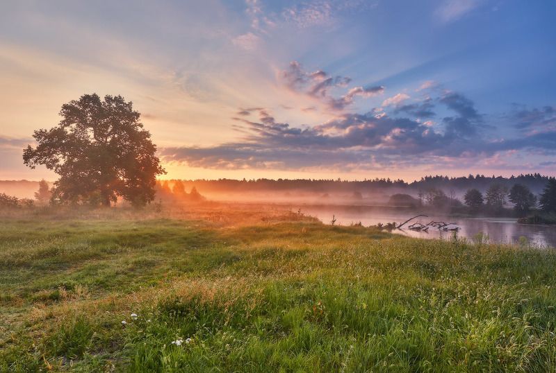 август, беларусь, лето, луга, облака, рассвет, река, свислочь, туман, утро Утро после жаркого дняphoto preview