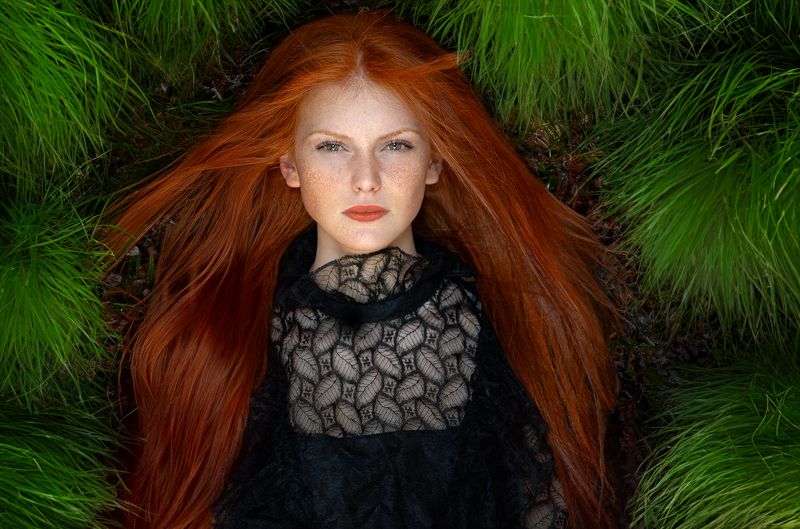 Хрисиphoto preview