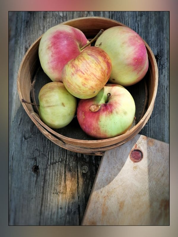 Дачные яблочки! photo preview