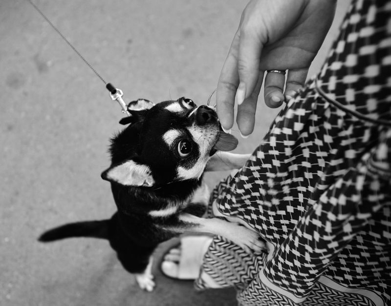 Я твои руки целую...photo preview