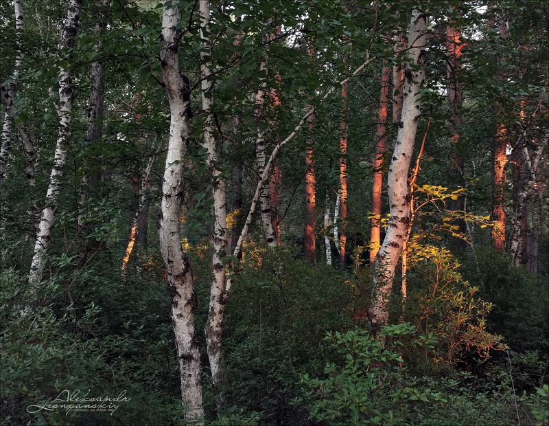 Заглянул на минуточку в конце дня...photo preview