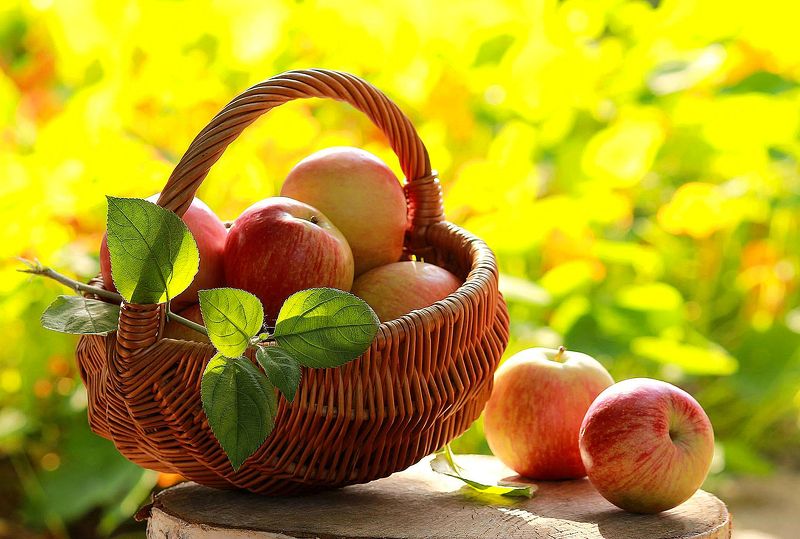 Тёплых солнечных дней оставшегося лета, друзья!photo preview