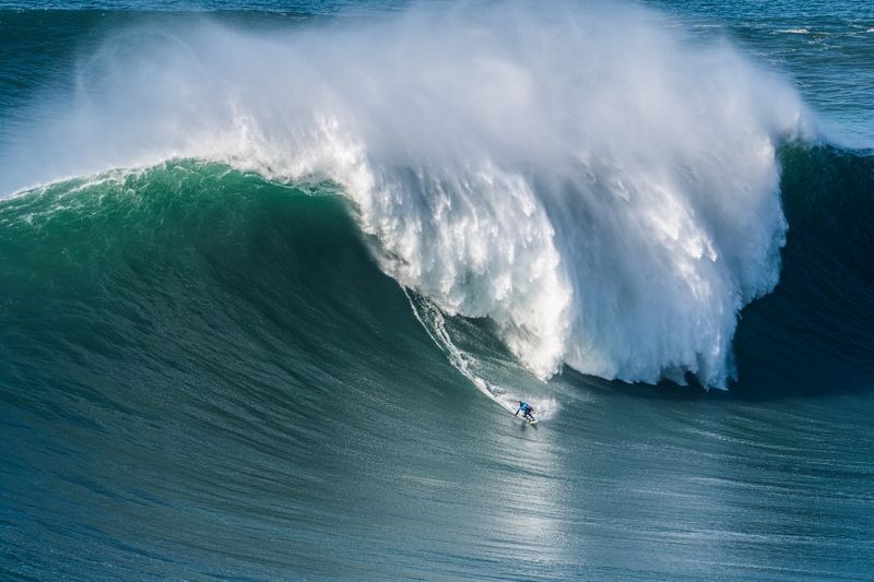 CHAMPIONphoto preview