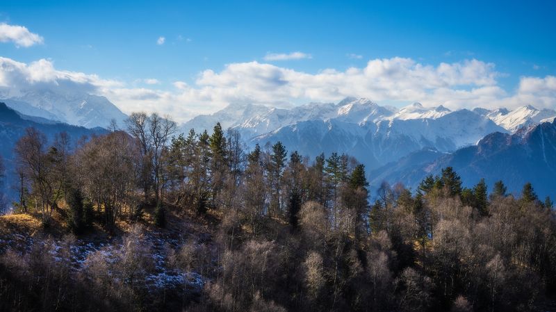 Солнечный зимний день в горах.photo preview
