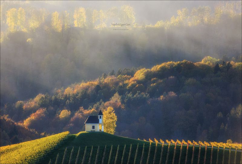 dreisiebner kapelle,свет,часовня,штирия,chapel,гамлитц,австрия,gamlitz- sernau,landscape,панорама,осень,дымка Осени дыханиеphoto preview