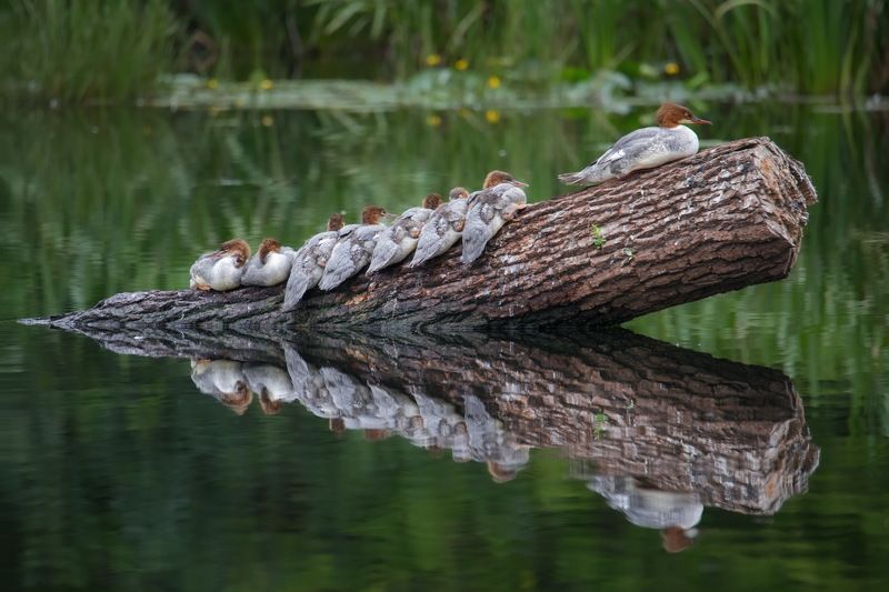 Санаторно-курортное настроениеphoto preview