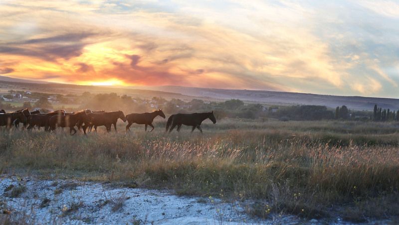 Меловые склоны Ак-Каяphoto preview