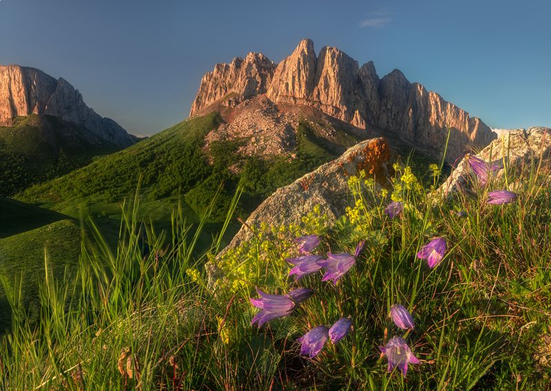большой тхач Время колокольчиковphoto preview