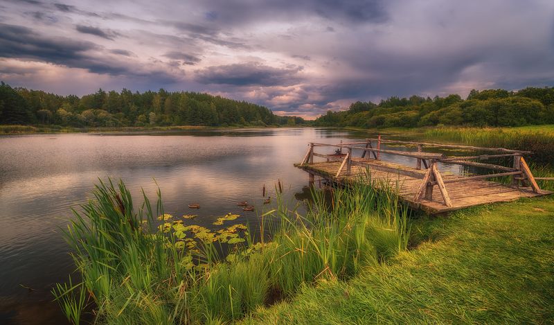 лето август михайловское пруд вечер Летний вечер в Михайловскомphoto preview