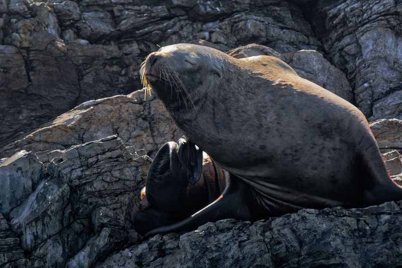 Семьяphoto preview