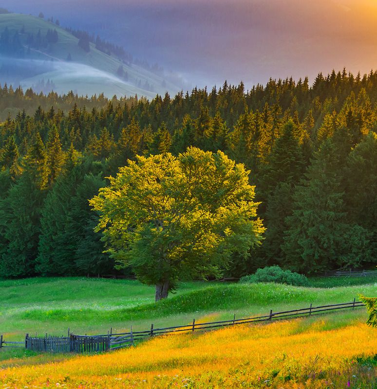 Bucovina, glimpses of naturephoto preview