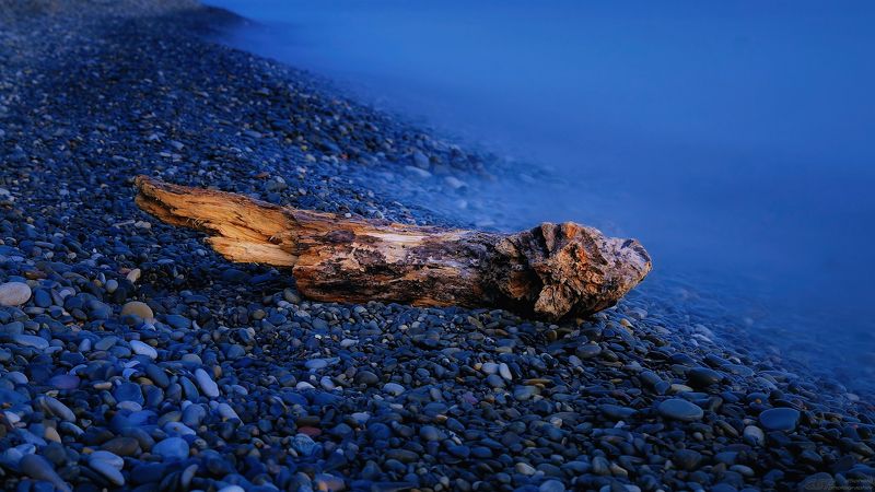 море лето природа вода коряга камни пляж Про корягу... фото превью