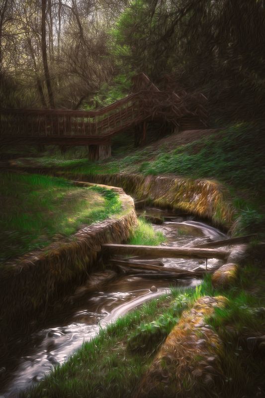 деревья, лес, ручей В парке фото превью