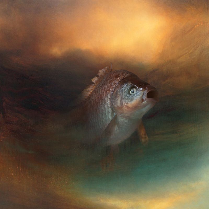 сюрреализм Рыбаphoto preview