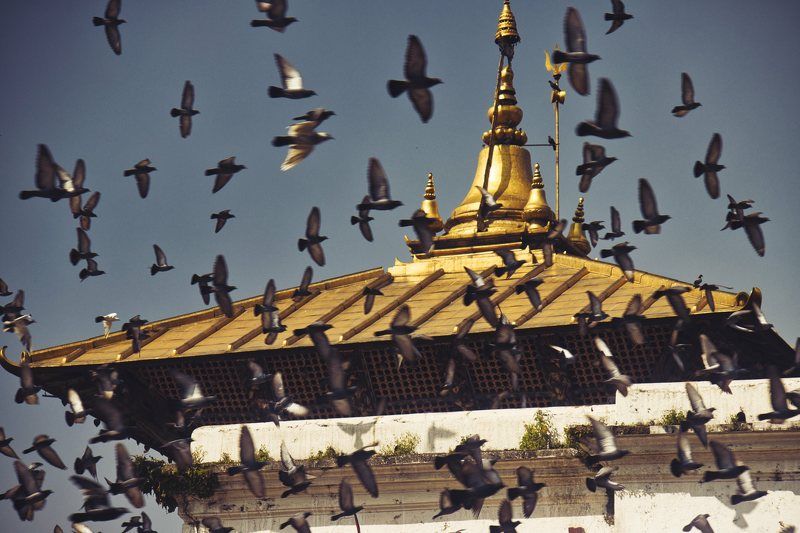 buddhist, flag, culture, temple, religion, prayer, stupa, kathmandu, buddha, bodhnath, nepal, religious, worship, eye, tibetan, travel, buddhism, architecture, ancient, symbol, heritage, asia, sacred, gold, asian, sky, pilgrimage, holy, monastery, himalay Ancient hindu Pashupatinath Golden Shiva temple 2022 yearphoto preview