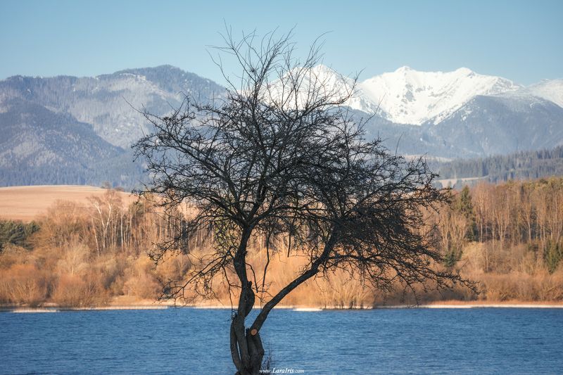 Формы и контрастыphoto preview