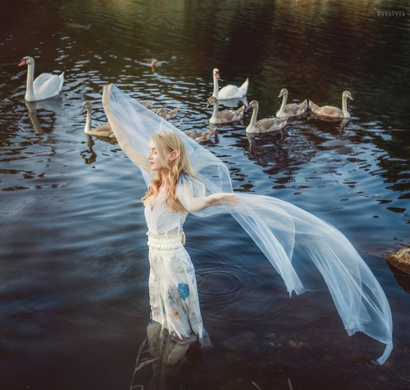 постановка, лебедь, девушка Царевна Лебедьphoto preview
