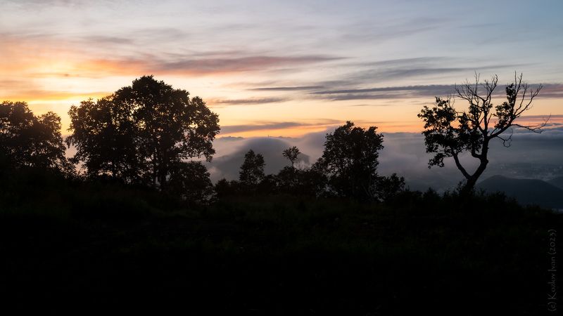 камчатка, туман, закат, лес, деревья, сопка Вечерphoto preview