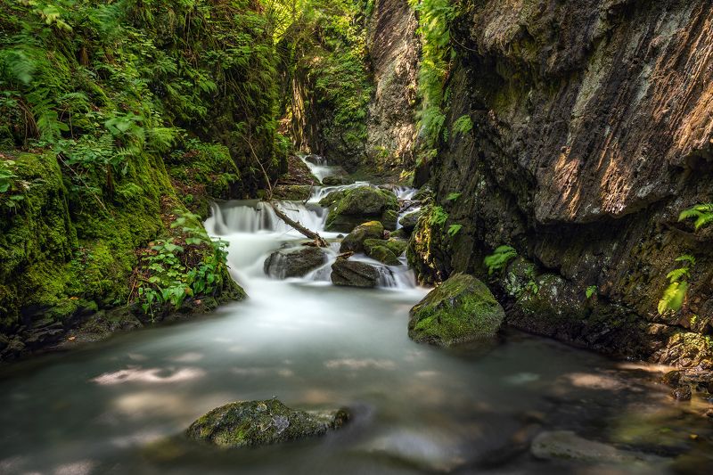 ляжгинский водопад, река, ручей, водопад, вода, поток, лес, горы, скалы, камни, путешествие, длинная выдержка, зеленый цвет По дороге к Ляжгинскому водопаду фото превью