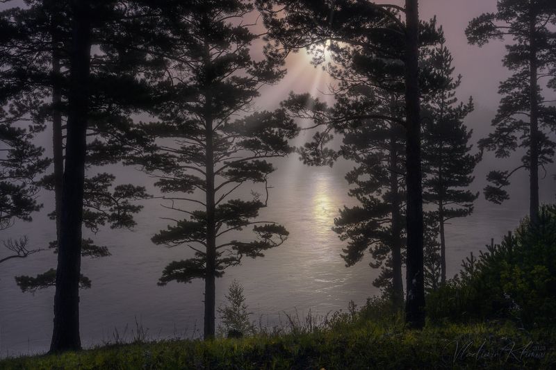 забайкалье, река, ингода Пробуждение... фото превью