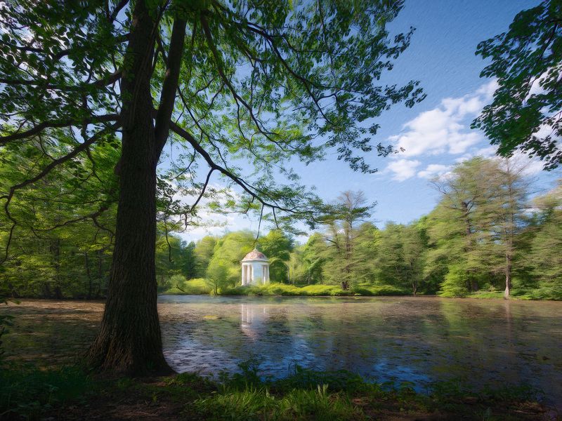 деревья, озеро, ротонда Ротонда в заброшенном парке фото превью
