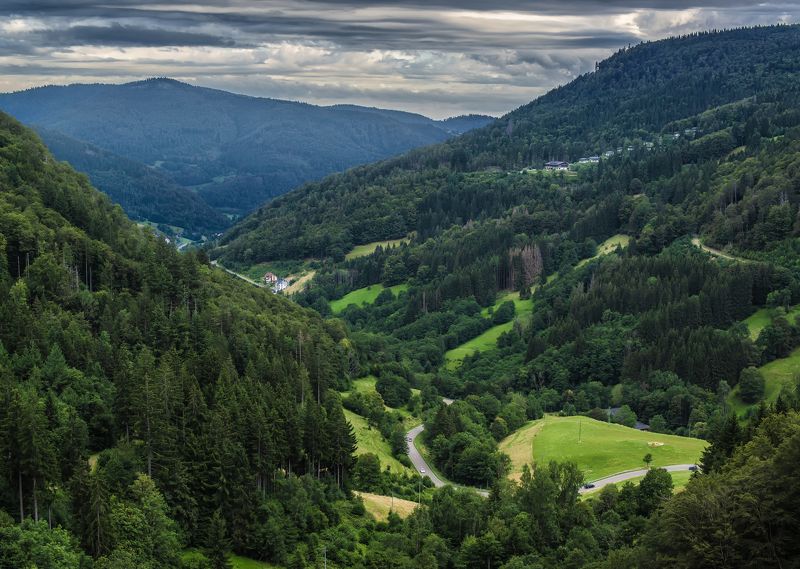 Breisgau-Hochschwarzwaldphoto preview