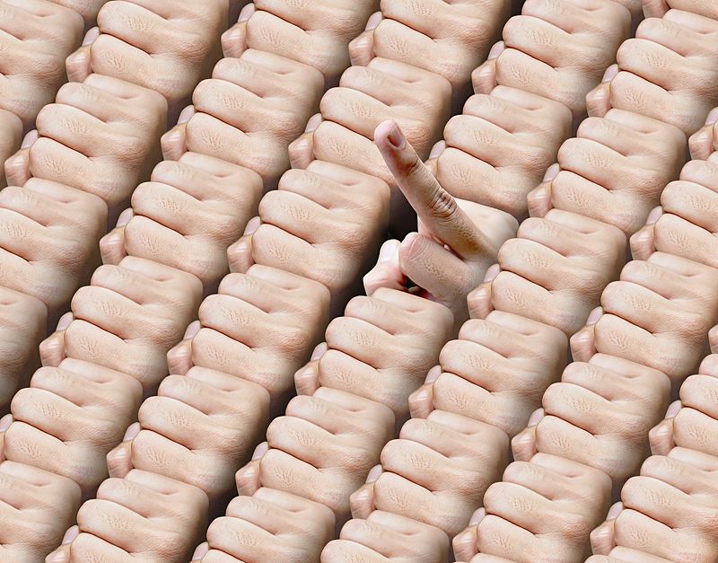 The Rebelphoto preview