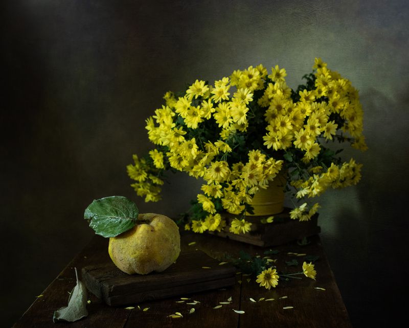 натюрморт, фрукты, цветы, айва, хризантемы Хризантемы и айваphoto preview