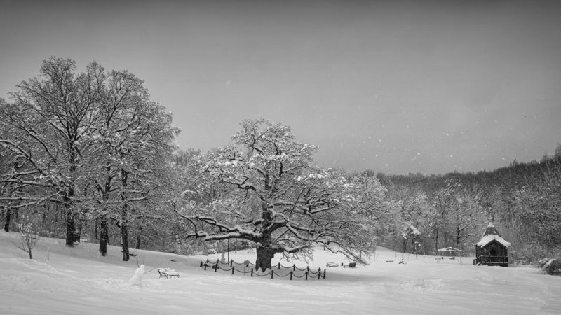 ---= уже хочется снежинок  =---photo preview